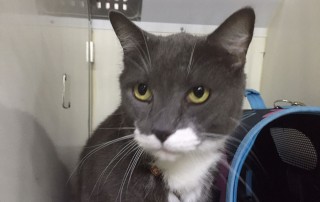 Seriously handsome Paco