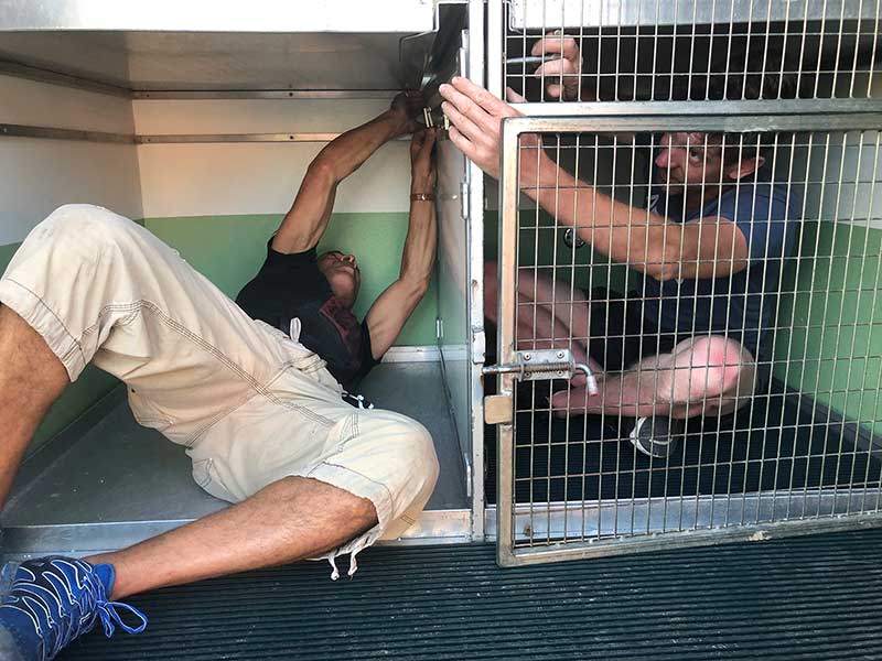Our specially designed vans are quite modular, so we can reorganise and resize bedrooms depending on the number, size and type of pets travelling with us. Here are couriers Shane and Glenn showing off their assembly skills.