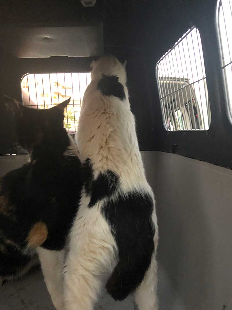 Delightful mum-and-daughter duo Thugola and Tigger were happy to share the view from their top-bunk bedroom