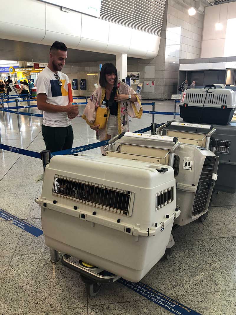 A proper send-off from Aris's owners for all the pets flying to Paris Charles de Gaulle with couriers J and L