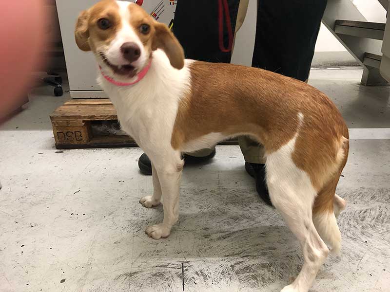 Chloe, looking rather timid here, is a delightful little girl