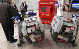 Courier Paul with Coco and Luna at Amsterdam's Schiphol airport