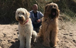 Gorgeous Labradoodle Skyler and Briard Hank travelled from Ayrshire...
