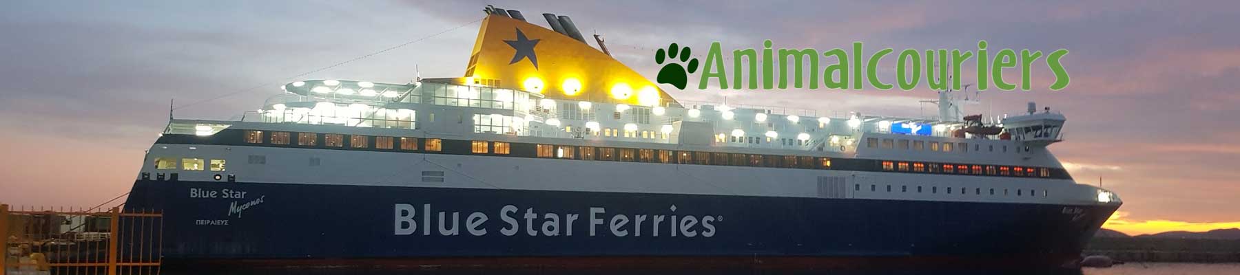 14 gorgeous dogs : Ferry to Lemnos