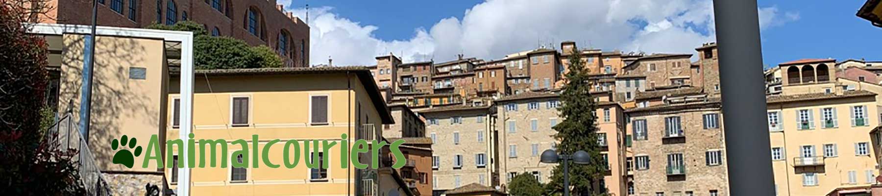 Trip to Italy