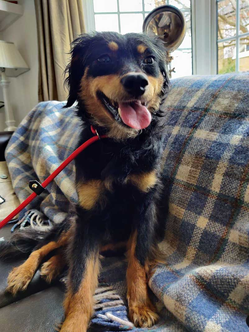 Miranda settled in at her new London home