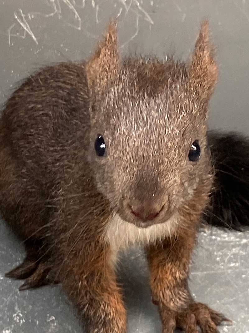 What a cute baby!