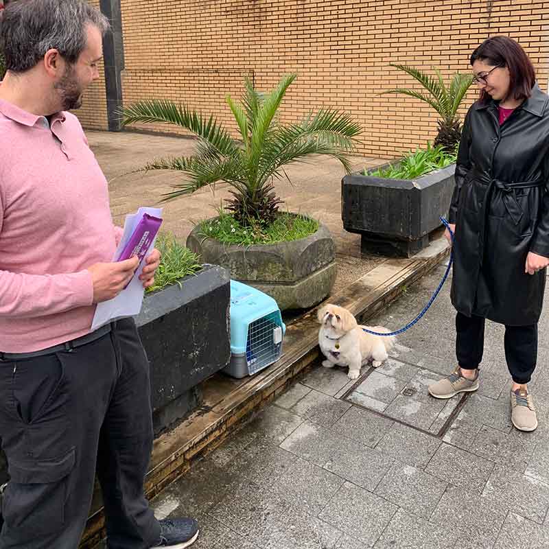 a dog and two cats heading to Spain and Portugal : Wishing Lucky 'bon voyage'
