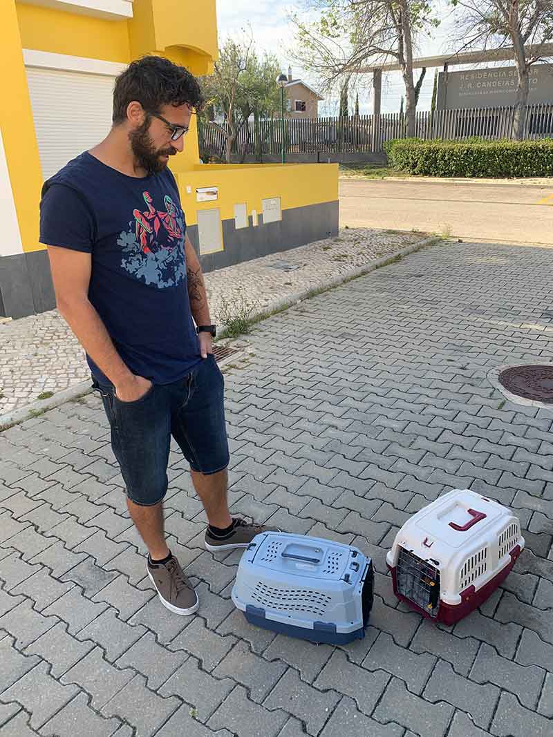 a dog and two cats heading to Spain and Portugal : Safe arrival in Faro for Chucky and Miia, where Fabio was waiting for them
