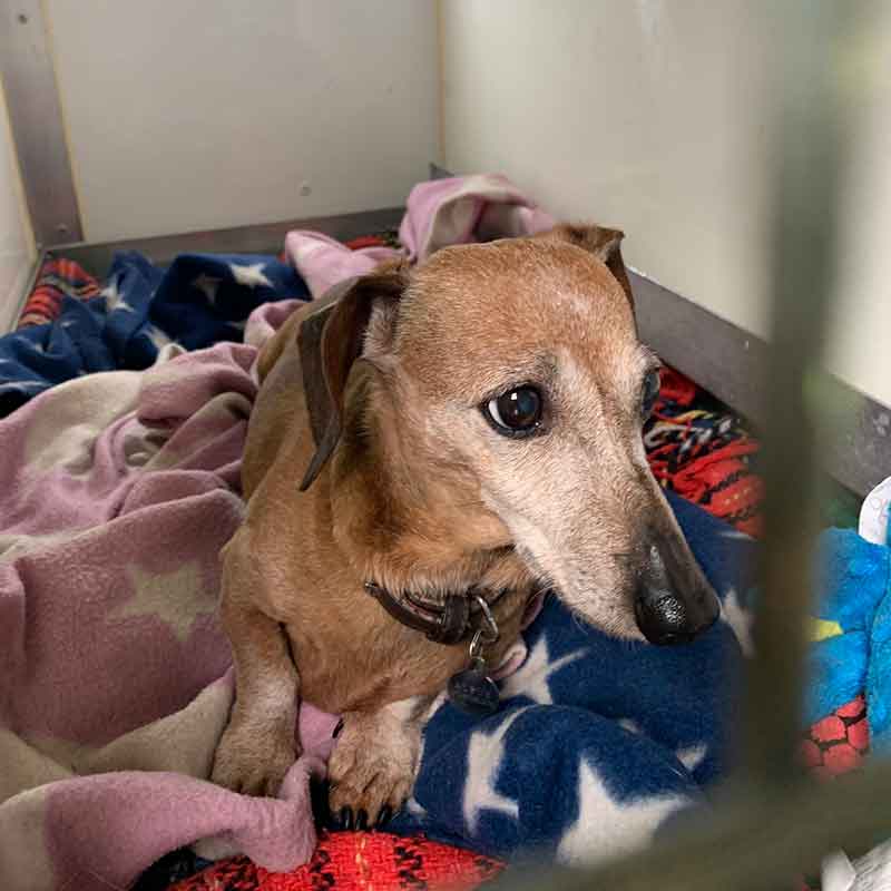 Albus quickly settled in to life on the road