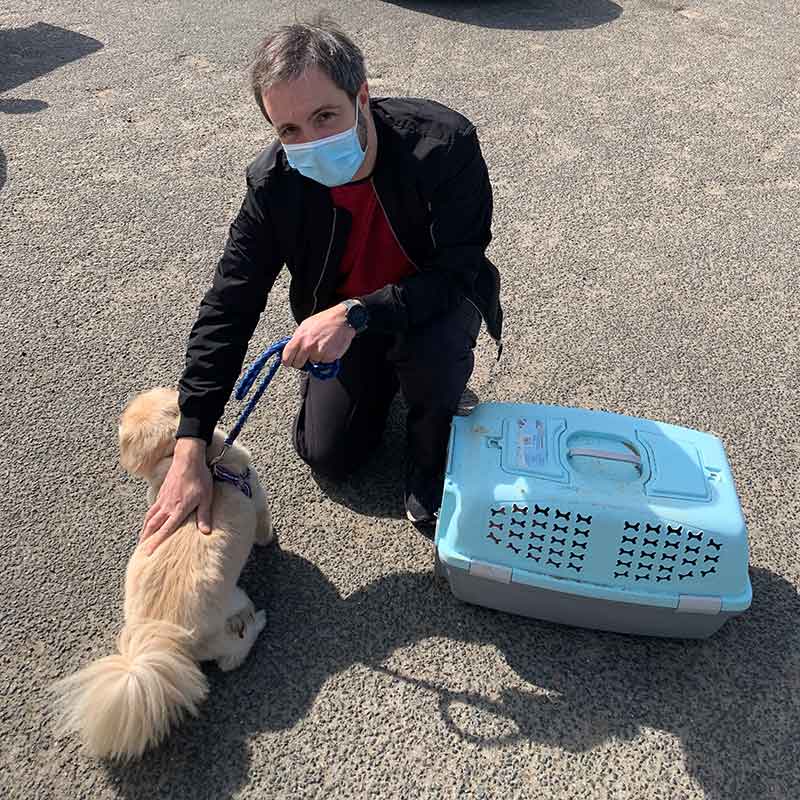 A happy reunion for Lucky and Charlie with owner Peter