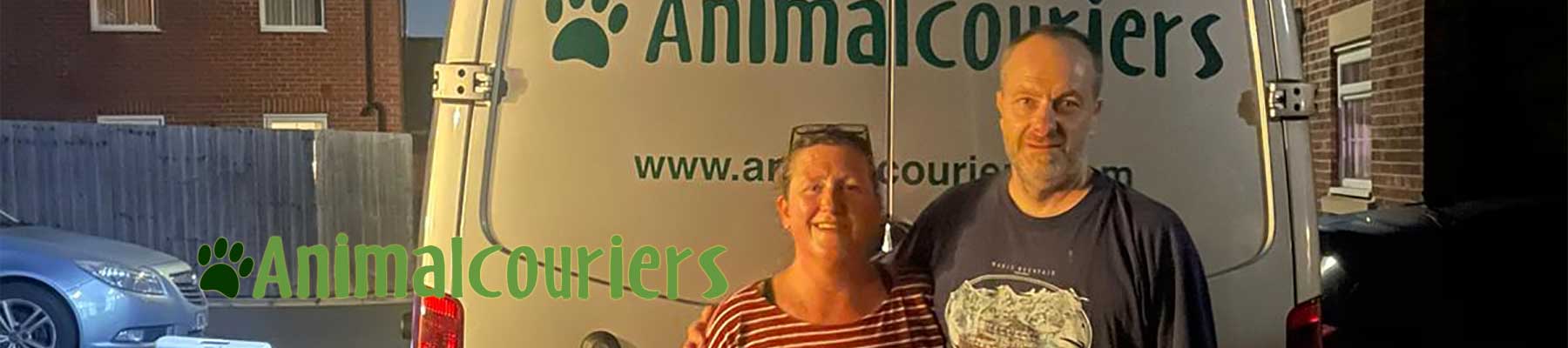 move 19 pets from France to England in a hurry