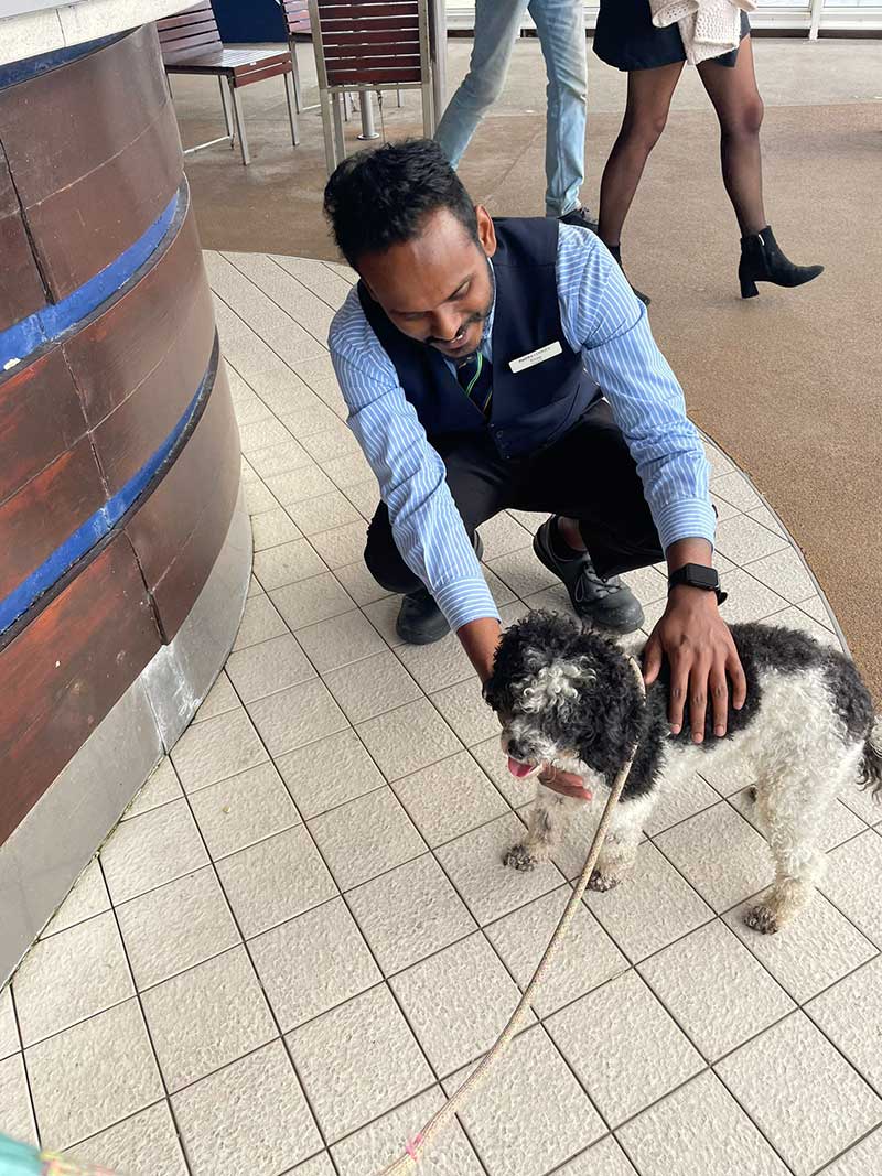 Nova quickly made herself popular on board the ferry