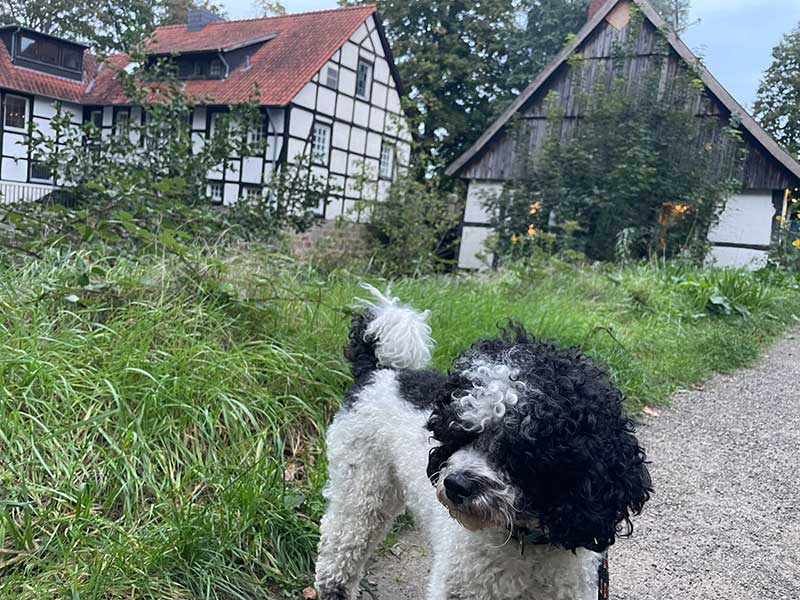 Our hotel for the night in Germany — a charming old watermill