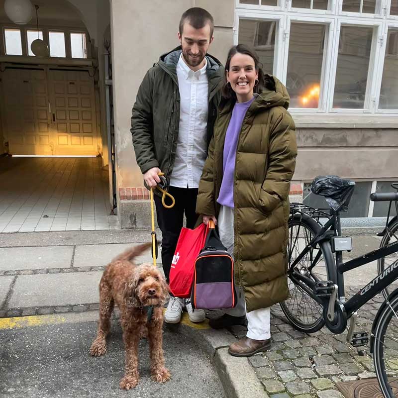 An end-of-year trip: mily and her husband were on hand to see their beloved pets away