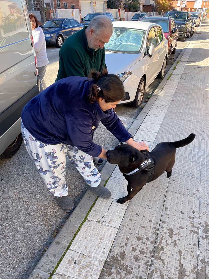 pet travels in Europe : Dani and Tori overjoyed on meeting up near Madrid