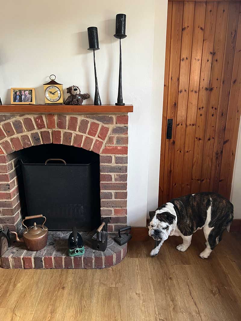 pet travels in Europe: Russell is quite the character — a fit and energetic dog who loves a long walk with lots of sniffing opportunities