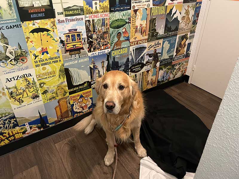 Bryn posing by the fabulous wallpaper at our hotel in Chaumont in France