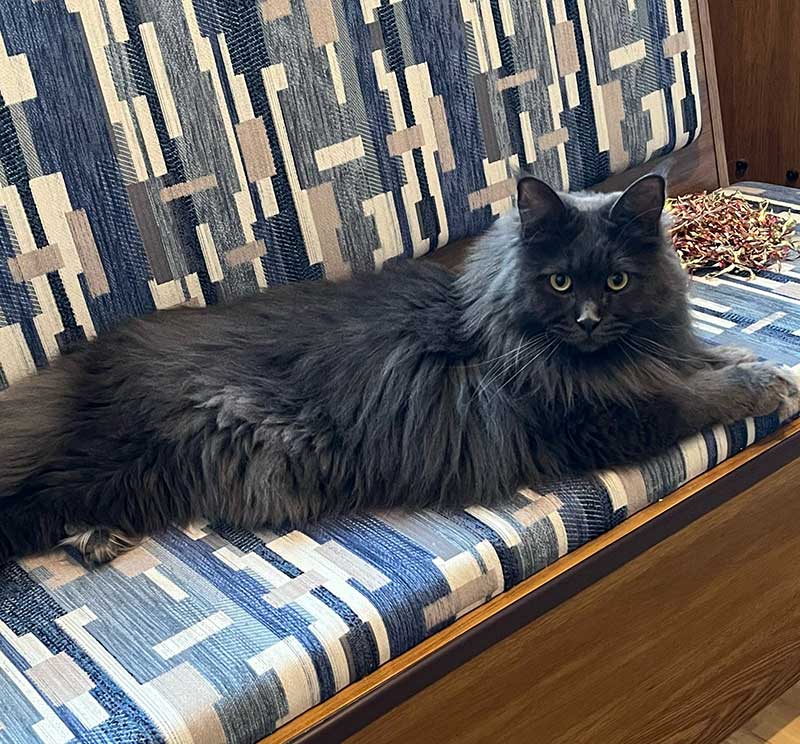 ...and glamorous Leelu