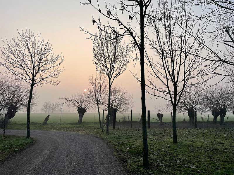 A splendid morning in Parma