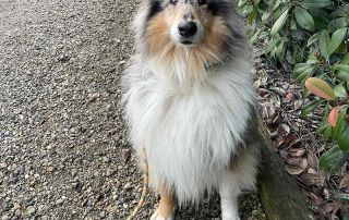Such a beautiful boy! Here we are walking at our hotel near Parma
