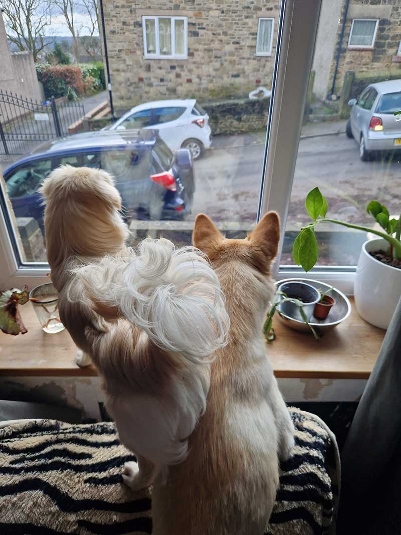Eddie and his friend keeping an eye on the goings-on outside