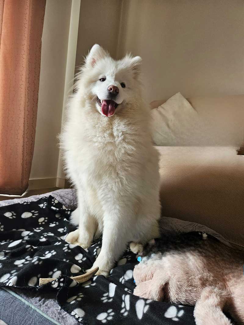 He really looks to be smiling
