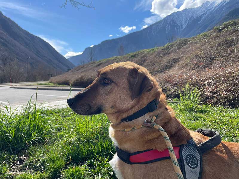Stretching our legs in the French Alps