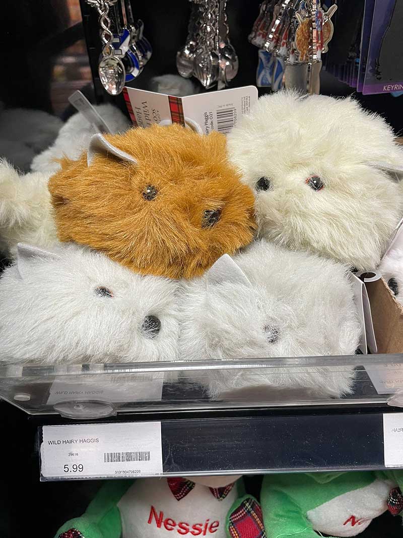 Wild and hairy haggis for sale
