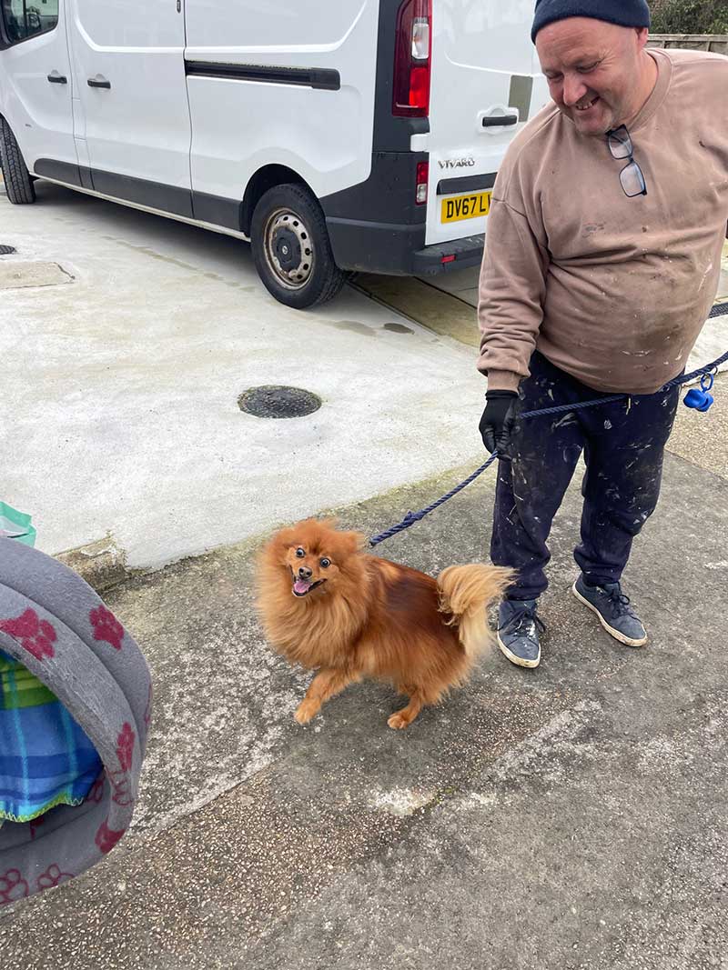 Trips with cats and dogs to France: Alfonzo got a rapturous welcome on his arrival in Hertfordshire, England
