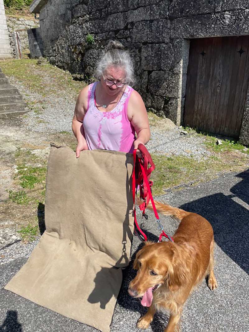 Friendly Charlie travelled to Villa Verde in Portugal, where Linda was pleased to be reunited with him