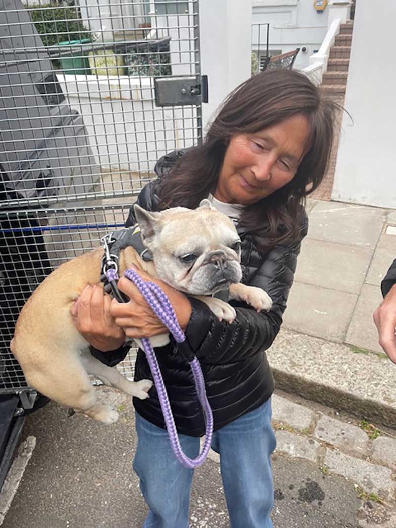 Trips with cats and dogs to France: Sweet pea Tallulah back in the arms of owner Ann in London, having travelled with us from Marbella