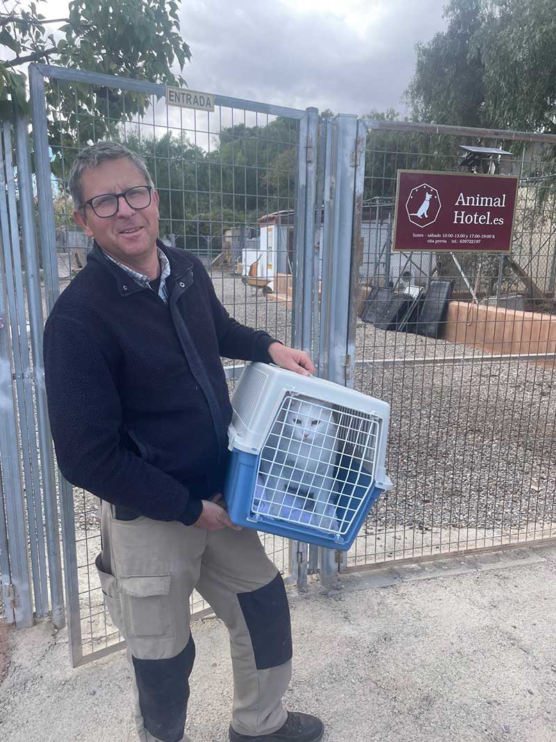 Trips with cats and dogs to France: Gorgeous Theo travelled with us from Somerset to Murcia in Spain, where Adam was delighted to receive him