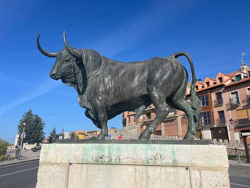 A reminder of the Spanish passion for all things bull-related in Tordesillas
