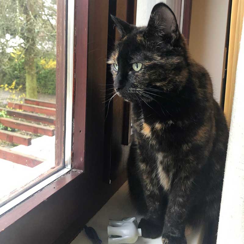 Gorgeous Kimchi, who was very inquisitive throughout the trip