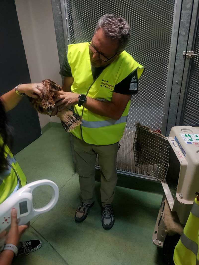 Vet inspection in Spain