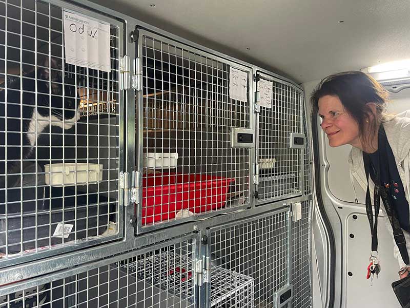 Sweden and Germany: Helen was on hand to see them all away