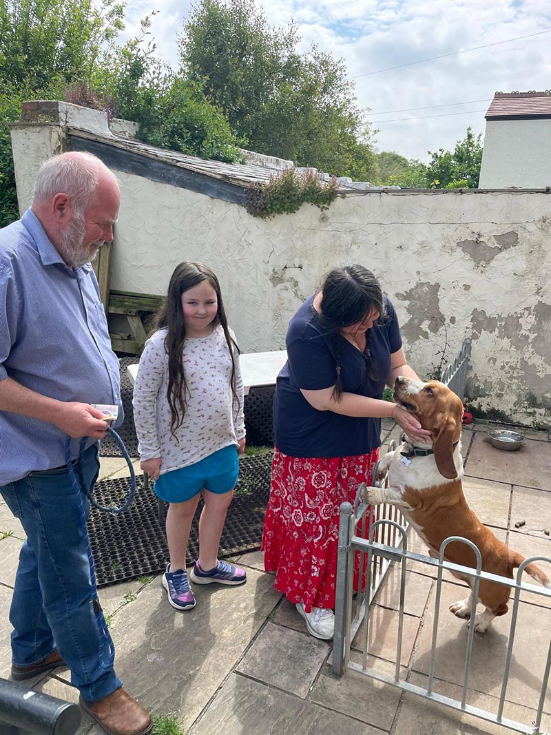 Transporting cats: The family seeing away Henry, their sweet two-year-old Basset Hound