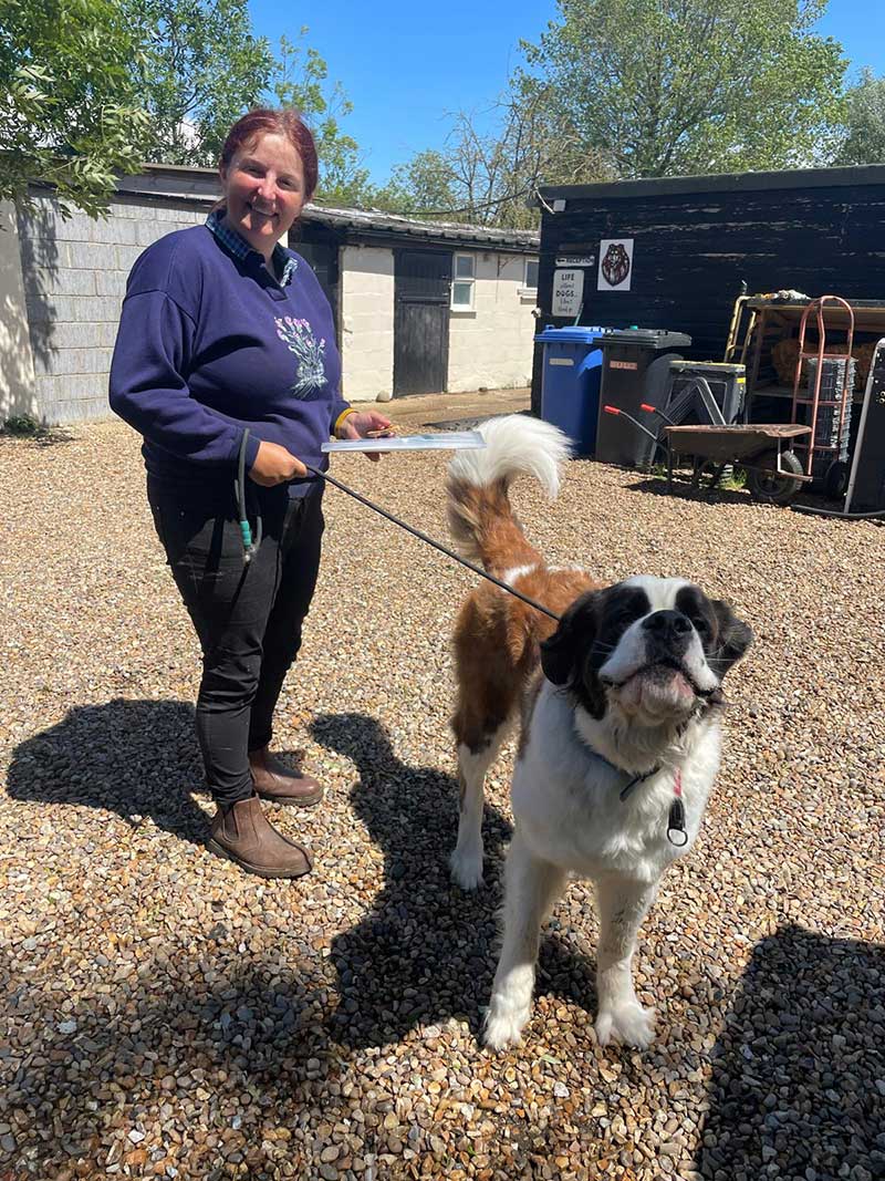 We delivered Hestia to Byebrue Boarding Kennels in Suffolk, where she had a short stay before Rachel and Chris caught up with her