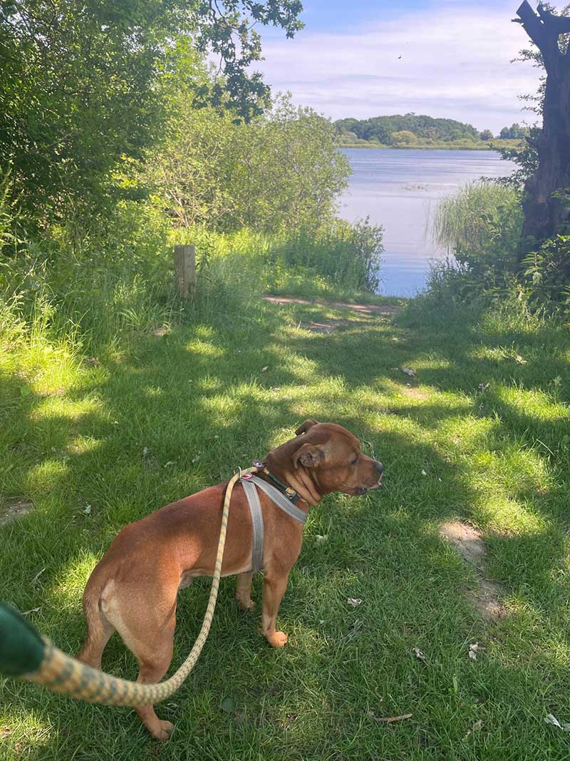 A walk in Rødby, Denmark before catching the ferry to Germany