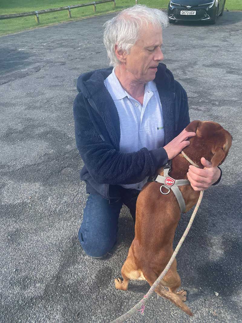 On arrival in the UK, courier Gwen handed Hugo over to courier Ray for the final leg of his trip to Devon. Courier Ray has a thing for Staffies and it was love at first sight for him and Hugo!
