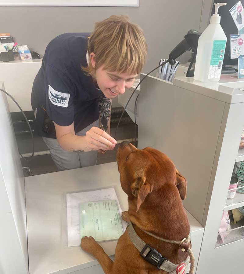 Sweden and Germany: Courier Gwen took him to the vet for his compulsory worming treatment. He was such a good boy, he got a treat!