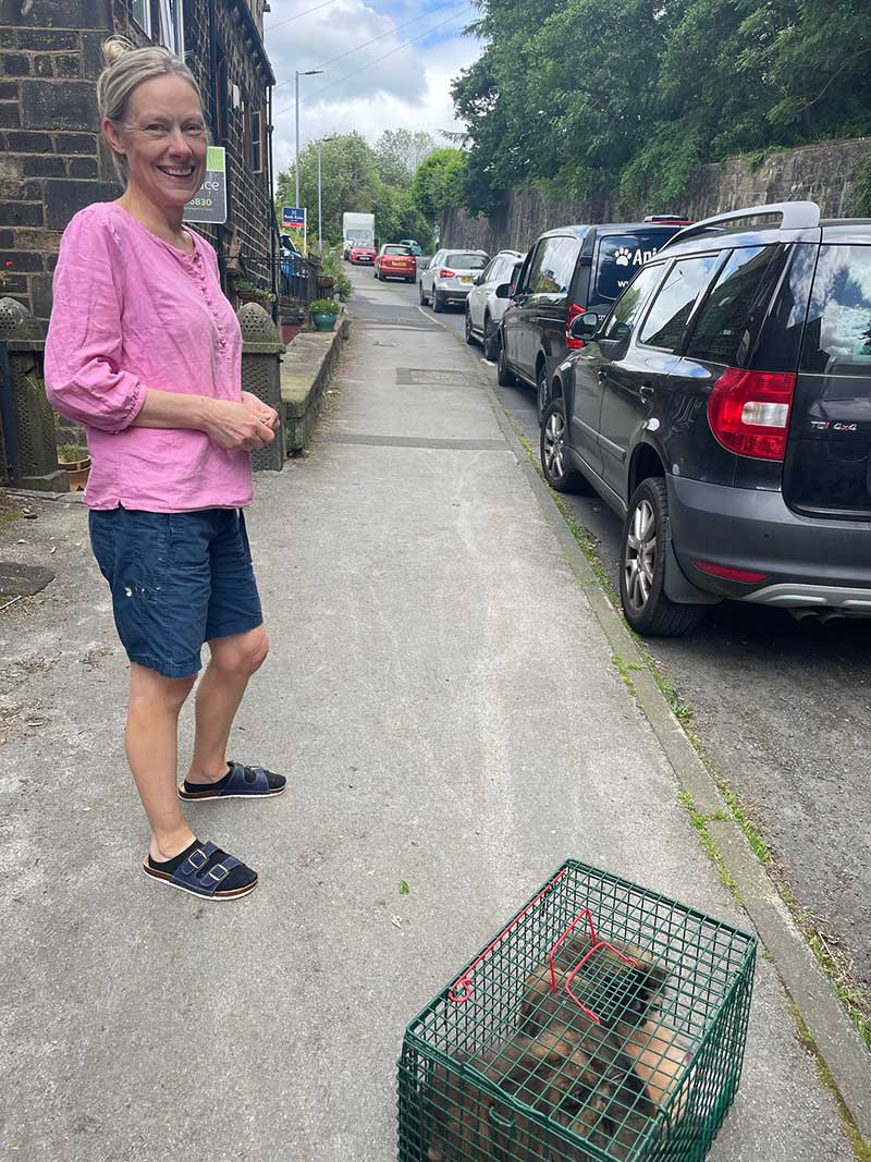 37 cats travel: Louise seeing her beloved cats away