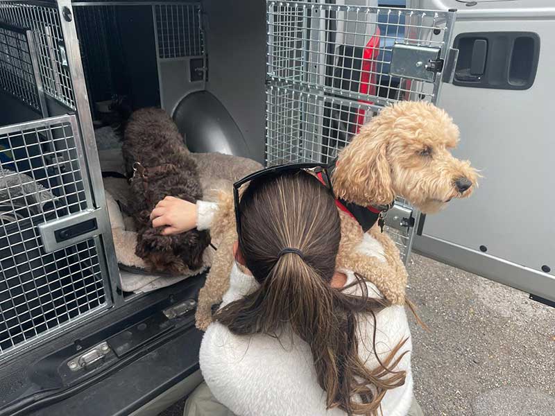 Sweden and Germany: The dogs' animal health certificates (AHCs) were prepared by Travel Vets, where courier Gwen met up with Sinead. Here she is saying goodbye to Ralph and Raymond.