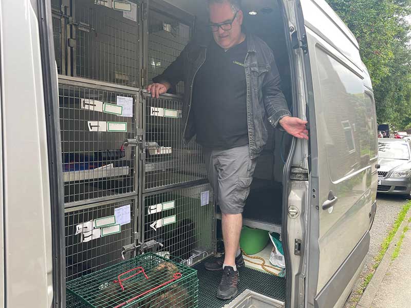 37 cats travel: Courier Ricardo helping get them into their bedrooms for the journey