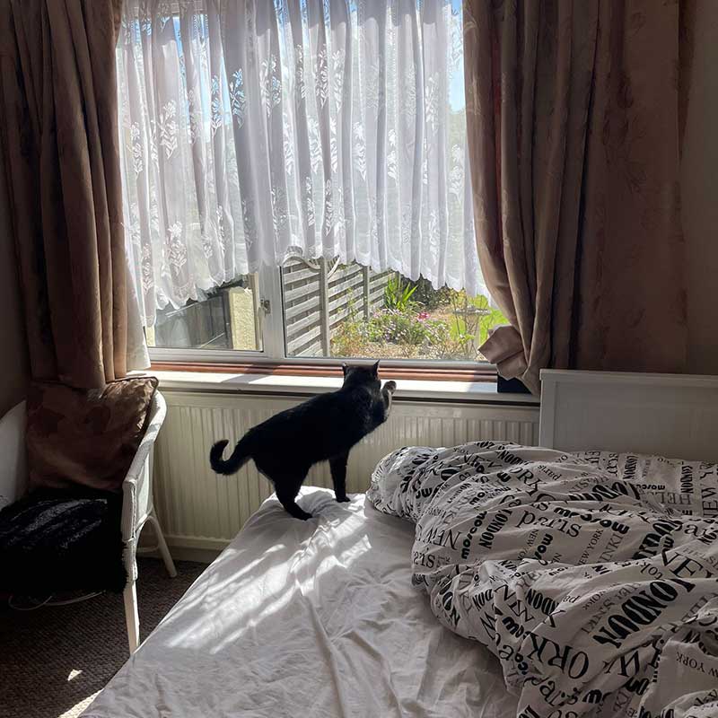 Spike's turn to take a look