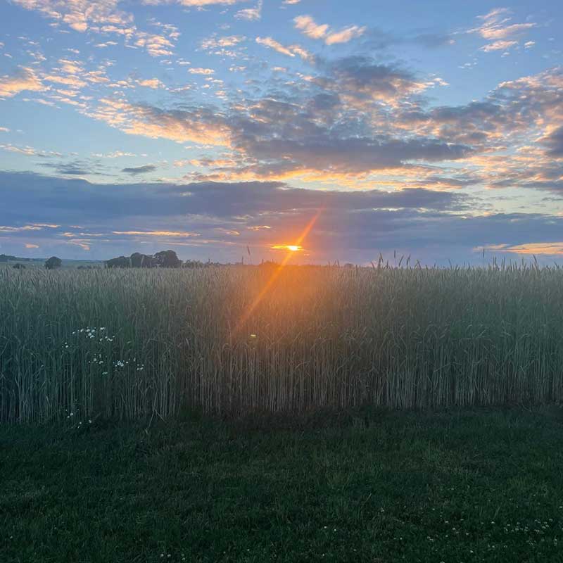 Sweden and Germany: Watching the sun to go down in Lund