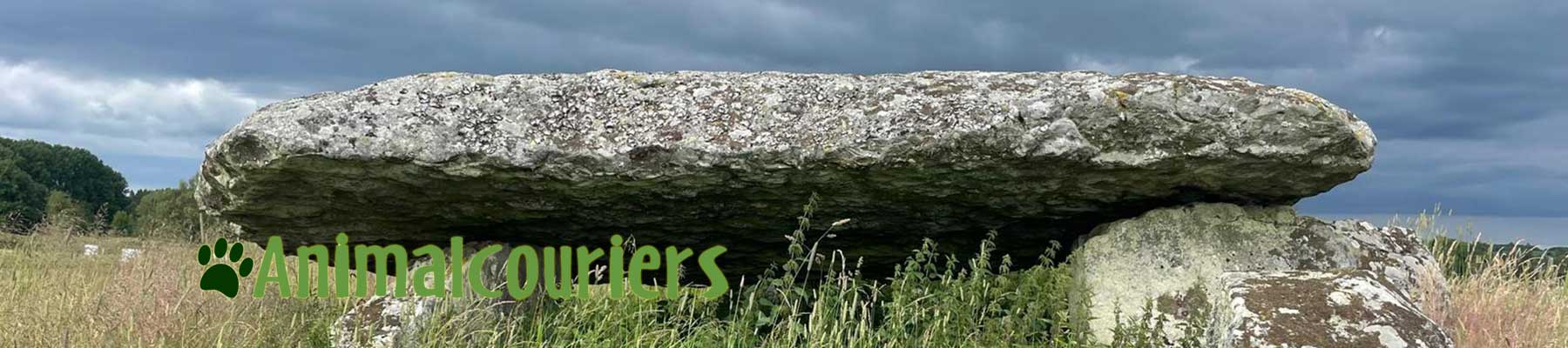 Pet travel: Swedish grave stone