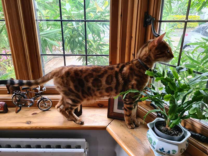 Checking out the new neighbourhood