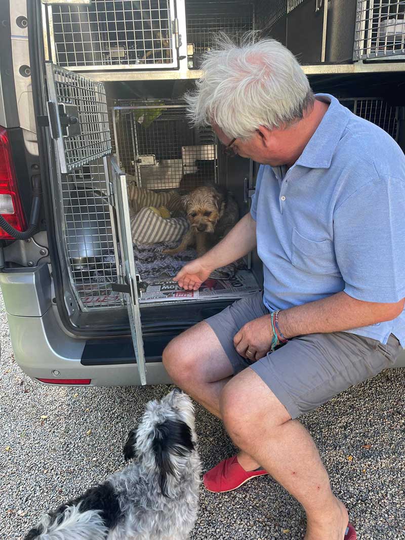 Frequent traveller Chip: After a wonderful summer holiday with his family in Austria, we went back to collect Chip for his return journey to London